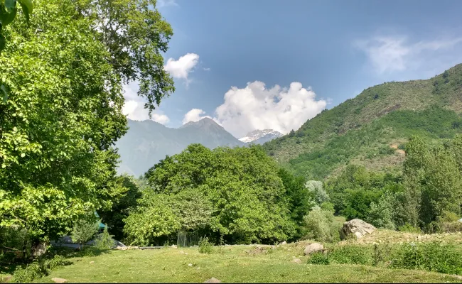 Dachigam National Park best place to visit in may