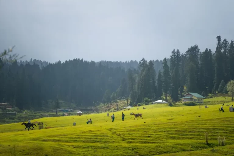 Yusmarg The Meadow of Gold best place to visit in kashmir in may